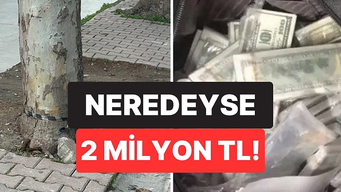 Kocaeli'de Market Çalışanı Çöpe Atacağı Poşetten 60 Bin Dolar Buldu