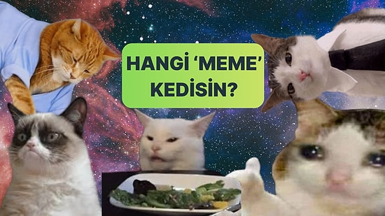 Burcuna Göre Sen Hangi “Meme” Kedisisin?