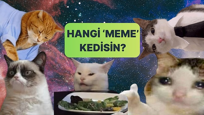 Burcuna Göre Sen Hangi “Meme” Kedisisin?