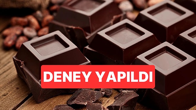 Bitter Çikolatanın İçindeki Maddenin Yaşlanmayı Yavaşlatabileceği Ortaya Çıktı