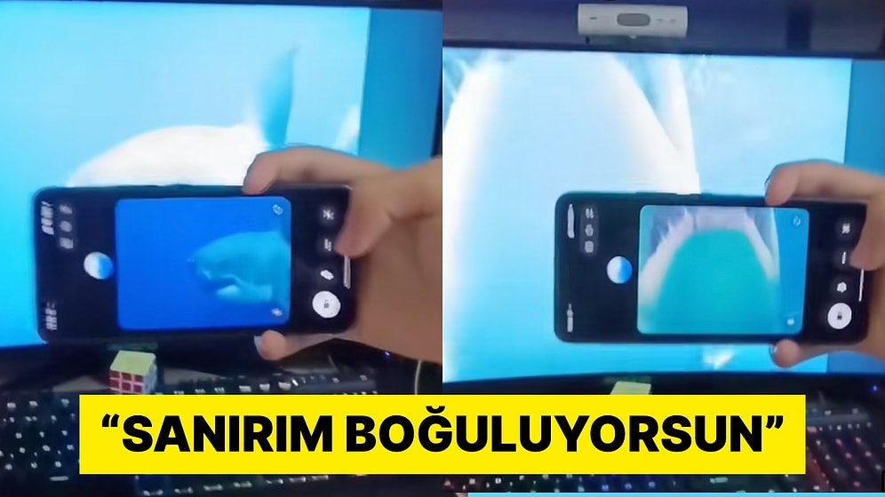 Bir İçerik Üreticisi Köpekbalığı Saldırısı Altında Olduğunu Söyleyip Yapay Zekayı Trolledi