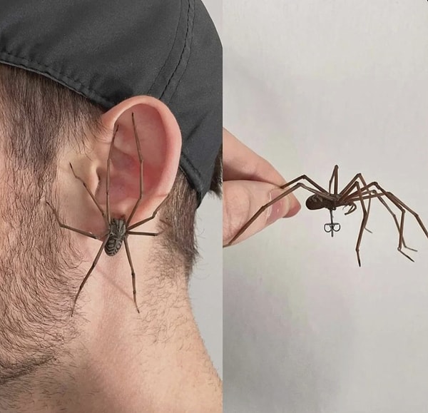 1. Araknofobisi olanlar bakmasın!