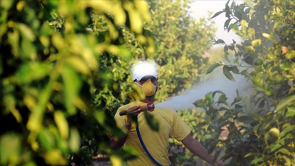 Reçeteli sistem zorunlu hale getirildi, satış zinciri baştan yazıldı