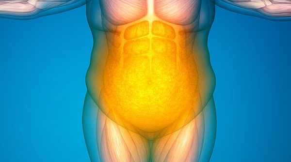 Bağışıklık sistemi, vücudun enerji rezervlerini korumak için yağ kaybını nasıl yavaşlatıyor?