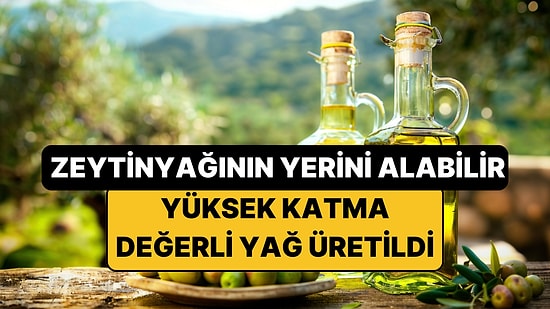 Ne Zeytinyağı Ne Balık Yağı: Tekirdağ'da Yüksek Katma Değerli Yeni Bir Yağ Üretildi