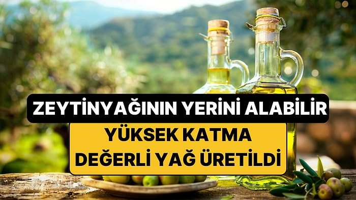 Ne Zeytinyağı Ne Balık Yağı: Tekirdağ'da Yüksek Katma Değerli Yeni Bir Yağ Üretildi