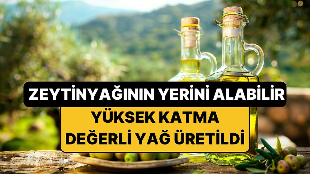 Ne Zeytinyağı Ne Balık Yağı: Tekirdağ'da Yüksek Katma Değerli Yeni Bir Yağ Üretildi