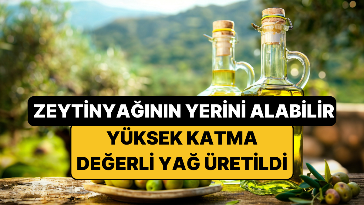 Ne Zeytinyağı Ne Balık Yağı: Tekirdağ'da Yüksek Katma Değerli Yeni Bir Yağ Üretildi