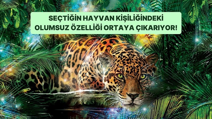 Seçtiğin Hayvan Kişiliğindeki 3 Olumsuz Noktayı Ortaya Çıkarıyor!