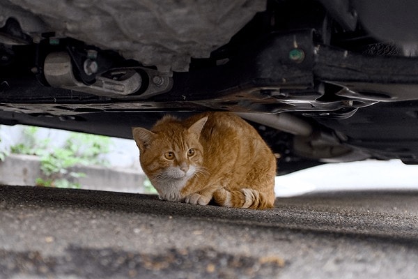 Söylemeye gerek bile yok ama yine hatırlatalım: Araç altı kontrolünü rutin haline getirin!