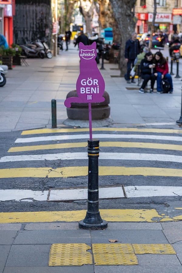 Şehrinizde başlayan farkındalık projelerine ses verin!