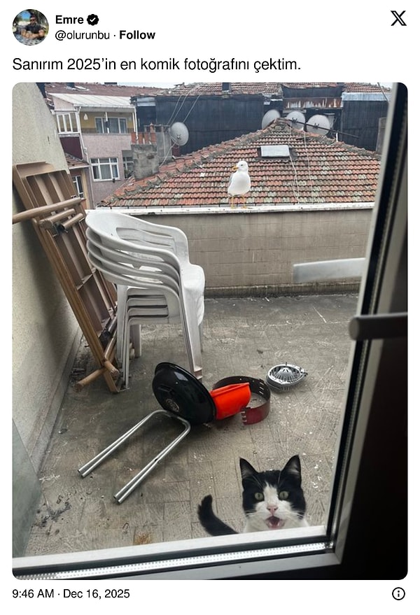 Neler döndü acaba?