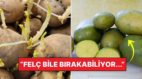 Zehirleme Riski Var! Tomurcuklanmış Patatesleri Yemek Güvenli mi?