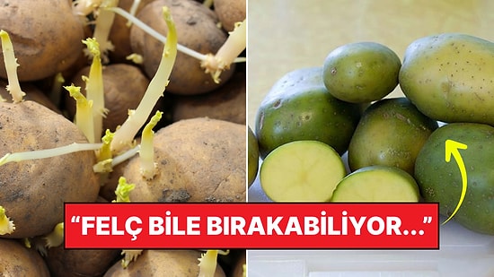 Zehirleme Riski Var! Tomurcuklanmış Patatesleri Yemek Güvenli mi?