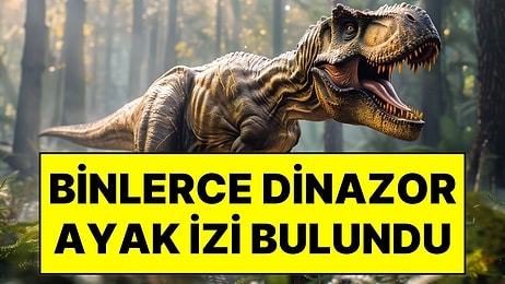 210 Milyon Yıl Öncesinden Gelen Tarihi Keşif: Dinazorların Binlerce Ayak ve Pençe İzleri İlk Kez Görüntülendi