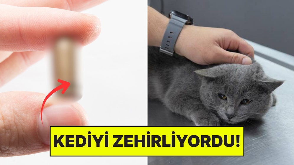 Kalçasından Çıktı: İştahsız Kedisini Veterinere Götüren Aile Hayatının Şokunu Yaşadı