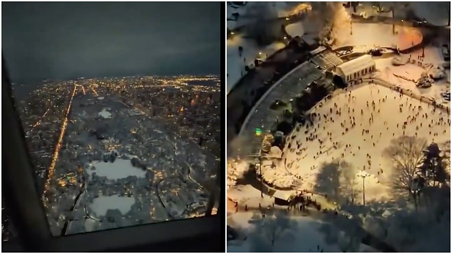 The Snow-Covered View of Central Park