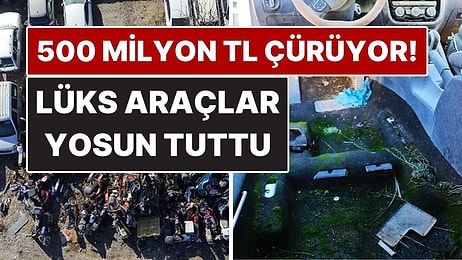 500 Milyon TL’lik Milli Servet Çürüyor! Lüks Araçlar Yosun Tuttu, Kaderine Terk Edildi