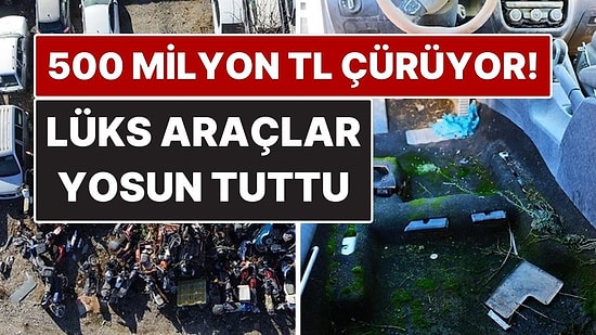 500 Milyon TL’lik Milli Servet Çürüyor! Lüks Araçlar Yosun Tuttu, Kaderine Terk Edildi