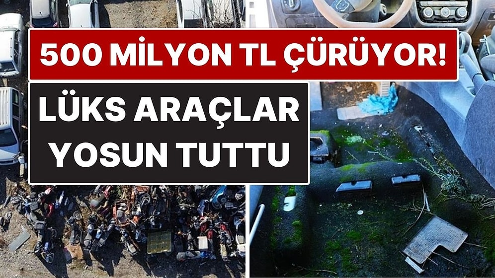 500 Milyon TL’lik Milli Servet Çürüyor! Lüks Araçlar Yosun Tuttu, Kaderine Terk Edildi
