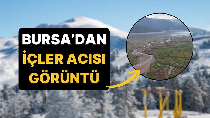 Günden Güne Yok Oluyor: Bursa Uludağ'dan Beslenen Gölet Yakında Sadece Toprak Olacak