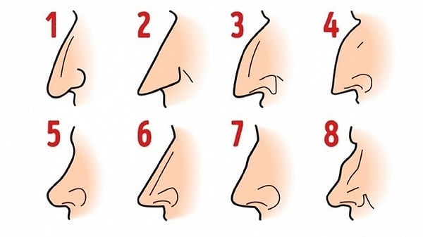 7. Hangisi senin burun şekline en yakın?
