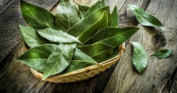 Evdeki nem ve küf sorununa diğer doğal çözümler