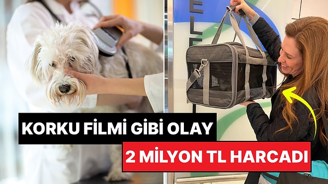 Vefat Eden Köpeğini 50 Bin Dolar Harcayarak Klonlatan Kadın: "Pişmanım"