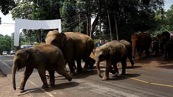 Can kaybının yanında maddi kayıplar da yaşandı.