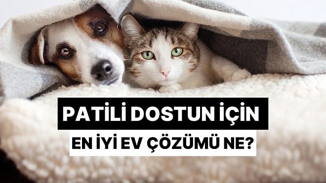 Evcil Hayvanın İçin Evini Daha Yaşanabilir Kılacak Çözüm Ne?