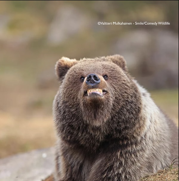 7. "Gülümse, Çekiyorum" - Valtteri Mulkahainen