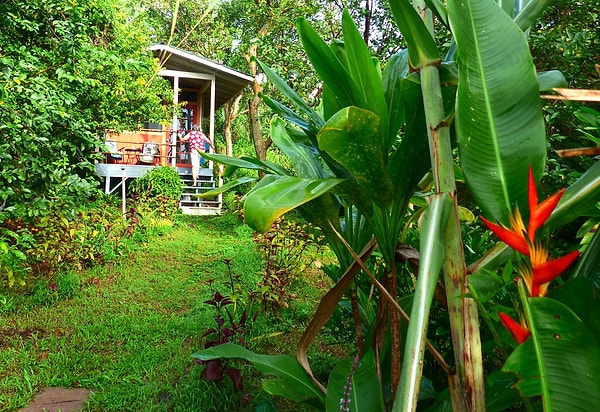 Off-grid yaşam tarzı, kira ve fatura ödemeleri olmadan sürdürülen sade hayat anlamına geliyor