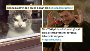 Taşacak Bu Deniz'i Mizahına Alet Ederek Hepimizi Güldüren Goygoyseverler