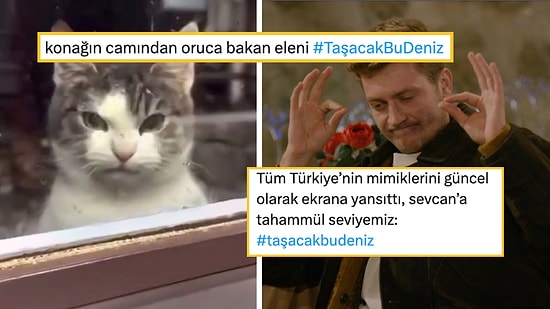 Taşacak Bu Deniz'i Mizahına Alet Ederek Hepimizi Güldüren Goygoyseverler