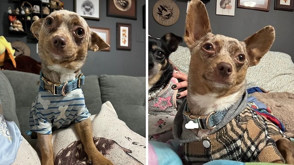 1. O zaman açılışımızı gülümsemesiyle kalpleri eriten bu minik dostumuzla yapalım!