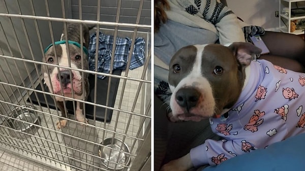 5. O rahatlık, o pijama... Fotoğrafa bakınca bile uykumuz geldi. Değmeyin keyfine 😍