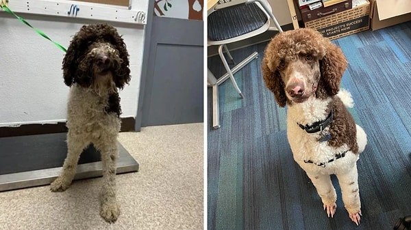 7. İnsanın gözü gönlü ikinci fotoğrafa baktıkça açılıyor!