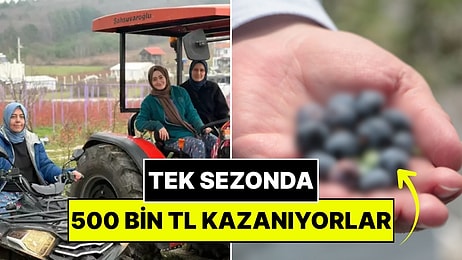 Şehirden Köye Taşınan Kadınlar Tarlada Çalışarak Kazanç Sağlıyor: Tek Sezonda 500 Bin TL