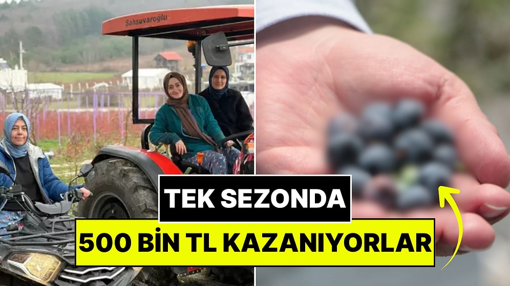 Şehirden Köye Taşınan Kadınlar Tarlada Çalışarak Kazanç Sağlıyor: Tek Sezonda 500 Bin TL