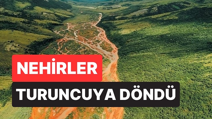 Alaska Nehirleri Turuncuya Döndü: Kuzey Kutbu Son 125 Yılın En Sıcak Dönemini Yaşıyor