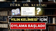 Oylama Başladı: Türk Dil Kurumu, 2025 Yılını Karşılayan Kelime/Kavram Anketini Açtı!