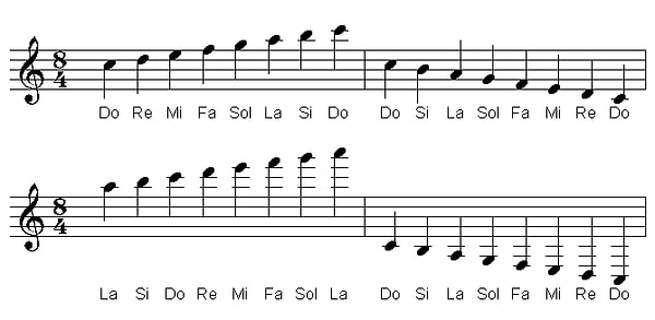 Özetle notaların anlamına bakacak olursak...