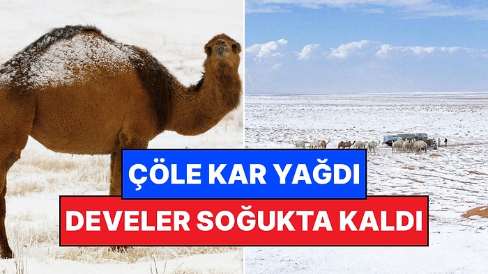 Çölleriyle Tanınan Ülkeye 30 Yıl Sonra İlk Kez Kar Yağdı!