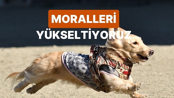 Moralini Saniyeler İçinde Düzeltecek O Şarkıyı Söylüyoruz!
