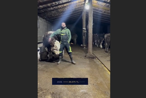 Bir büyük baş hayvan ortalama 8-9 asgari ücret.