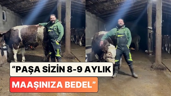 Hayvancılık Yapan Bir Adam "Hayvancılıktan Memnun musun? Sorusunu Yeni Asgari Ücret Üzerinden Yanıtladı