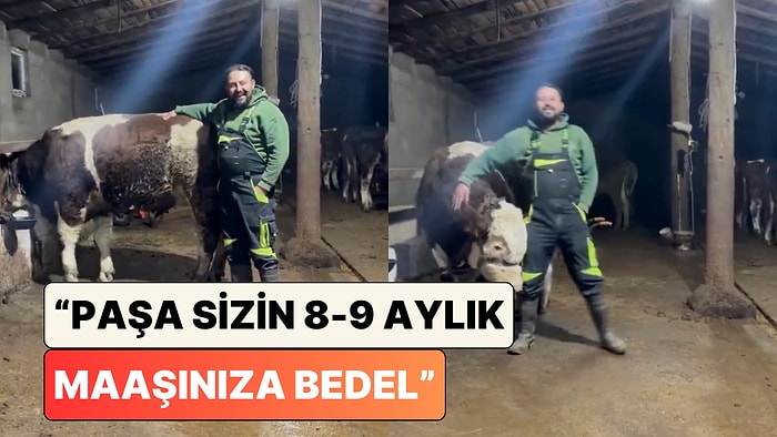 Hayvancılık Yapan Bir Adam "Hayvancılıktan Memnun musun? Sorusunu Yeni Asgari Ücret Üzerinden Yanıtladı
