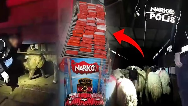 Ali Yerlikaya'nın açıkladığı skandal olay görenleri hayreti düşürdü!