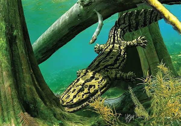 Yani bugün elimizdeki beş parmak, tesadüfi değil evrimsel geçmişimizin mirası olabilir.