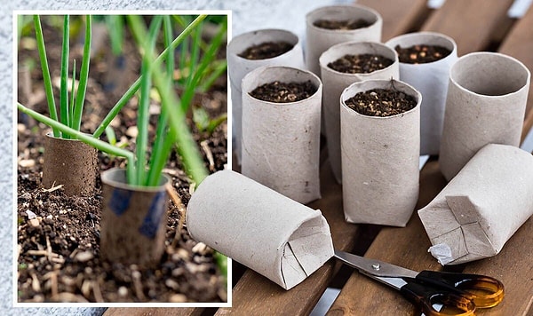 Bahçecilikte plastik saksılara güçlü alternatif oluşturuyor